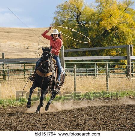 Picture - Caucasian woman using lasso on horse at rodeo. Fotosearch
