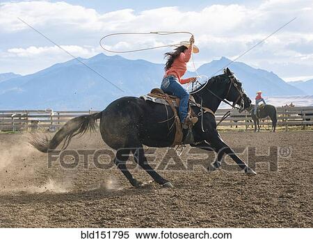 Caucasian woman using lasso on horse at rodeo View Large Photo Image Stock Photography - Caucasian woman using lasso on horse at rodeo. Fotosearch