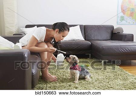 Chinese woman feeding dog takeout in living room View Large Photo Image Stock Image - Chinese woman feeding dog takeout in living room. Fotosearch