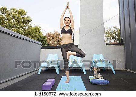 Stock Image - Chinese woman practicing yoga with dog on deck. Fotosearch