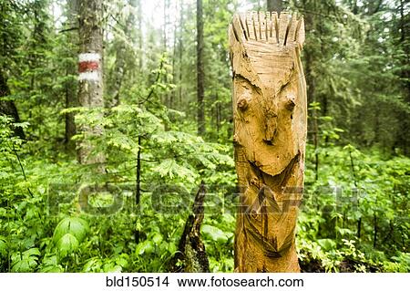 Close up of carved totem pole in forest View Large Photo Image Picture - Close up of carved totem pole in forest. Fotosearch