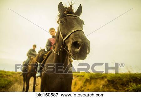 Stock Photo - Close up of Caucasian child riding horse. Fotosearch