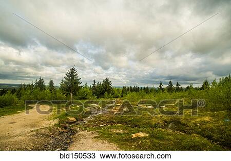 Creek flowing in rural meadow View Large Photo Image Stock Image - Creek flowing in rural meadow. Fotosearch