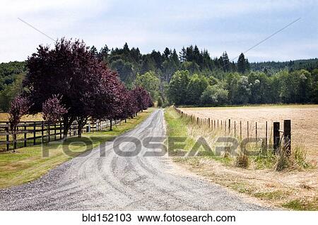 Stock Image - Dirt road between grass fields in rural landscape. Fotosearch