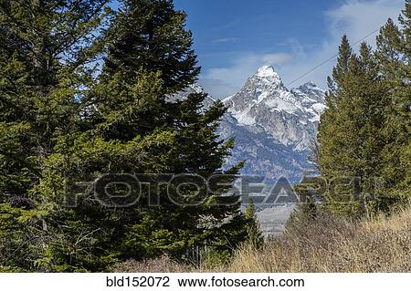 Stock Image - Mountains viewed through trees and grassy field. Fotosearch
