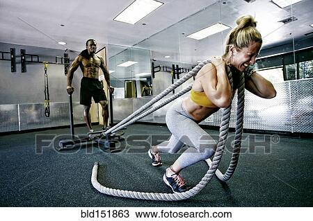 People working out with ropes in gym View Large Photo Image Stock Image - People working out with ropes in gym. Fotosearch
