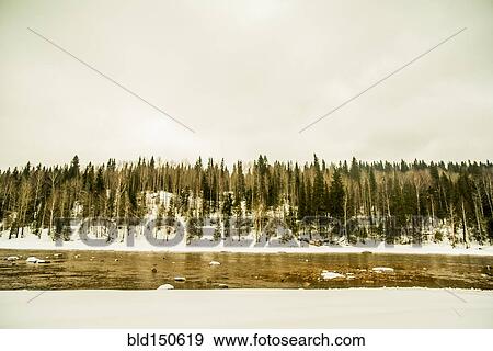 Snowy trees near remote river View Large Photo Image Stock Photo - Snowy trees near remote river. Fotosearch