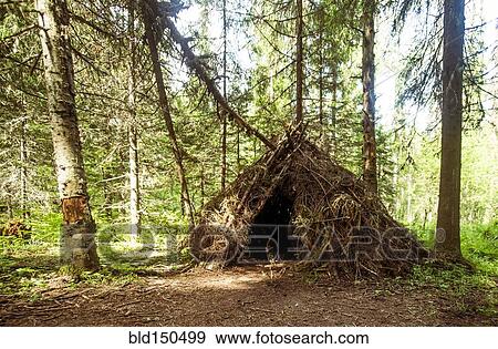 Thatched teepee fort in forest View Large Photo Image Stock Photo - Thatched teepee fort in forest. Fotosearch