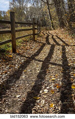 Wooden fence casting shadows on dirt path View Large Photo Image Stock Image - Wooden fence casting shadows on dirt path. Fotosearch