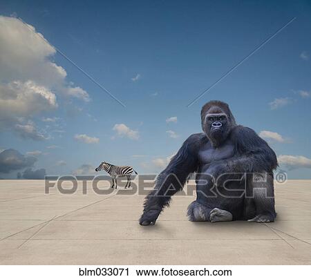 Stock Image - Wild animals on flat concrete ground under blue sky. Fotosearch