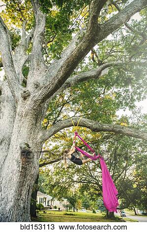 Stock Image - Acrobatic Caucasian girl hanging on fabric under tree. Fotosearch
