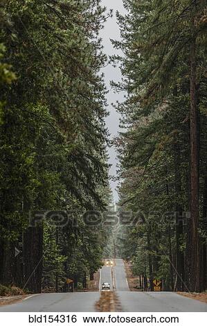 Stock Photograph - Cars driving on road through forest trees. Fotosearch