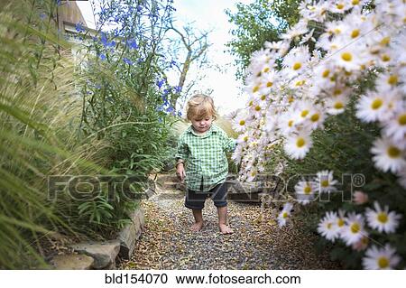 Stock Image - Caucasian baby boy walking in garden. Fotosearch