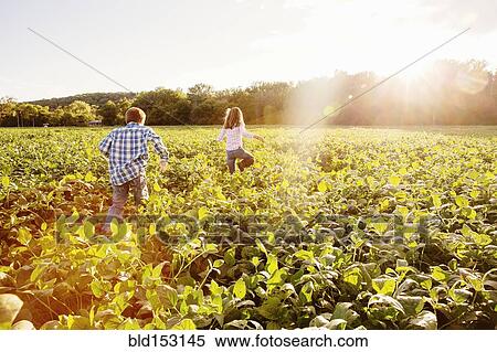 Caucasian children walking in crop field on farm View Large Photo Image Stock Photography - Caucasian children walking in crop field on farm. Fotosearch