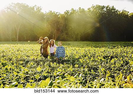 Caucasian family standing in crop field on farm View Large Photo Image Picture - Caucasian family standing in crop field on farm. Fotosearch