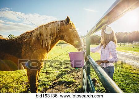 Stock Photograph - Caucasian girl feeding horse on ranch. Fotosearch