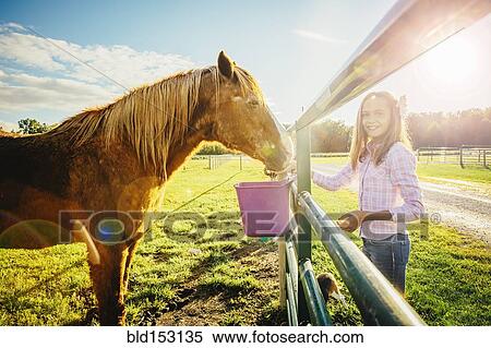 Stock Photography - Caucasian girl feeding horse on ranch. Fotosearch