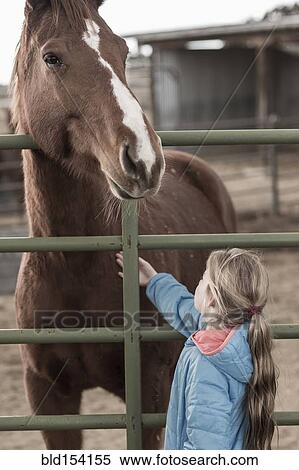 Caucasian girl petting horse on ranch View Large Photo Image Stock Photography - Caucasian girl petting horse on ranch. Fotosearch