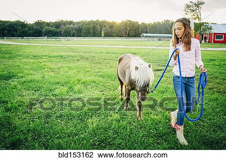 Stock Image - Caucasian girl walking miniature horse on farm. Fotosearch