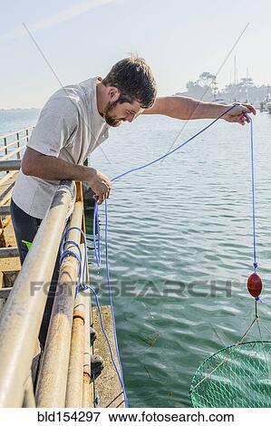 Caucasian man crabbing with net on wooden pier View Large Photo Image Stock Photo - Caucasian man crabbing with net on wooden pier. Fotosearch