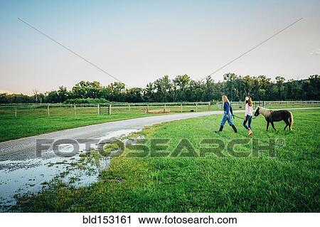 Caucasian mother and daughter walking miniature horse on farm View Large Photo Image Stock Image - Caucasian mother and daughter walking miniature horse on farm. Fotosearch
