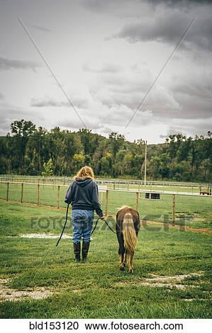 Caucasian woman walking miniature horse on ranch View Large Photo Image Stock Image - Caucasian woman walking miniature horse on ranch. Fotosearch