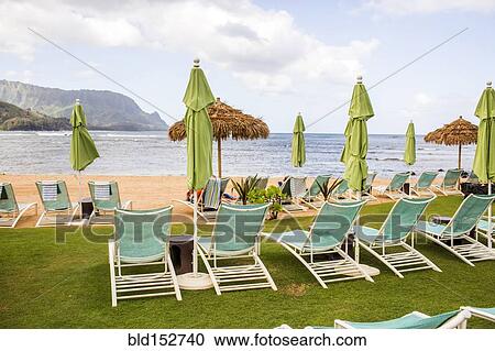 Stock Image - Empty deck chairs on beach. Fotosearch