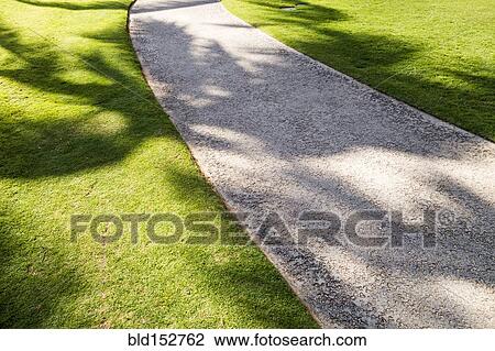 Stock Image - High angle view of palm tree shadows on concrete path. Fotosearch