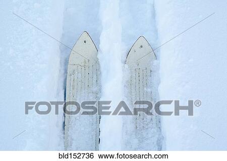 High angle view of skis making tracks in snow View Large Photo Image Stock Photograph - High angle view of skis making tracks in snow. Fotosearch