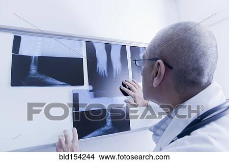 Picture - Hispanic doctor examining x-rays. Fotosearch