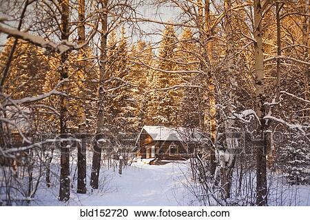 Log cabin in snowy forest View Large Photo Image Stock Image - Log cabin in snowy forest. Fotosearch
