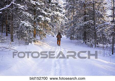 Mari boy walking in snowy field View Large Photo Image Stock Image - Mari boy walking in snowy field. Fotosearch