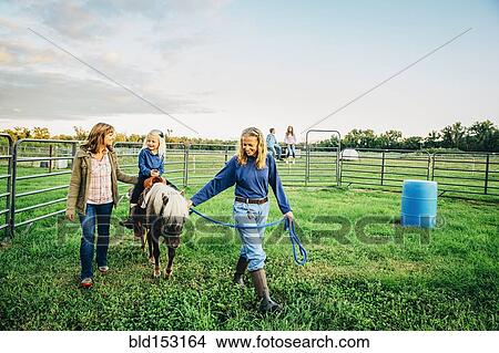 Three generations of Caucasian women walking miniature horse on farm View Large Photo Image Picture - Three generations of Caucasian women walking miniature horse on farm. Fotosearch