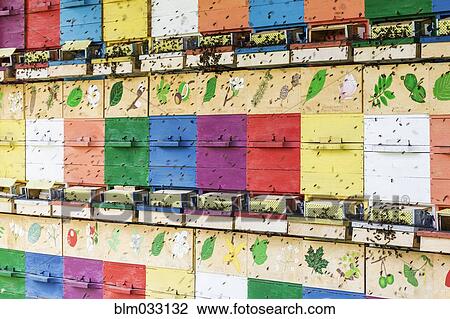 Close up of bees crawling on colorful beehive View Large Photo Image Stock Image - Close up of bees crawling on colorful beehive. Fotosearch