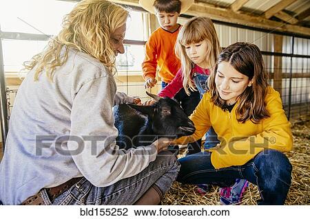 Stock Image - Caucasian children petting goat in barn. Fotosearch