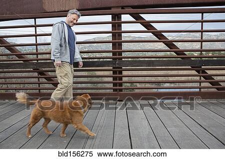 Stock Photography - Caucasian man and dog walking on wooden bridge. Fotosearch
