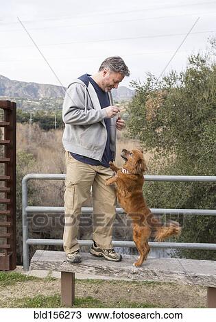 Stock Image - Caucasian man playing with dog in park. Fotosearch