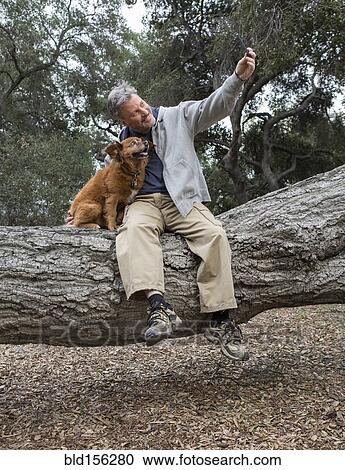 Caucasian man taking cell phone photograph with dog on tree in park View Large Photo Image Stock Image - Caucasian man taking cell phone photograph with dog on tree in park. Fotosearch
