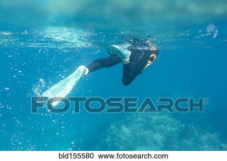 Caucasian woman snorkeling in tropical ocean View Large Photo Image Stock Image - Caucasian woman snorkeling in tropical ocean. Fotosearch