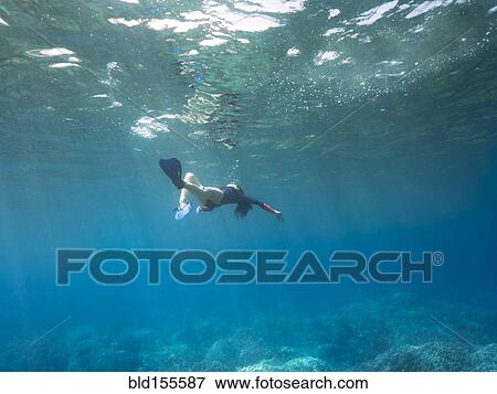 Stock Photo - Caucasian woman snorkeling in tropical ocean. Fotosearch