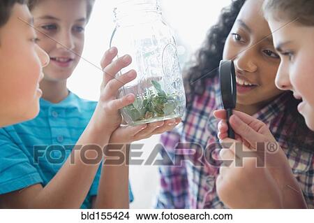 Picture - Children examining seeds in jar with magnifying glass. Fotosearch