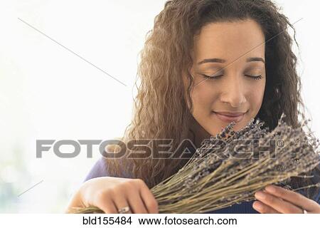 Close up of mixed race woman smelling dried lavender flowers View Large Photo Image Picture - Close up of mixed race woman smelling dried lavender flowers. Fotosearch