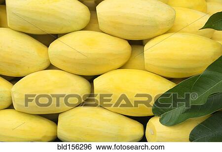 Stock Photograph - Close up of pile of fresh peeled mangos. Fotosearch