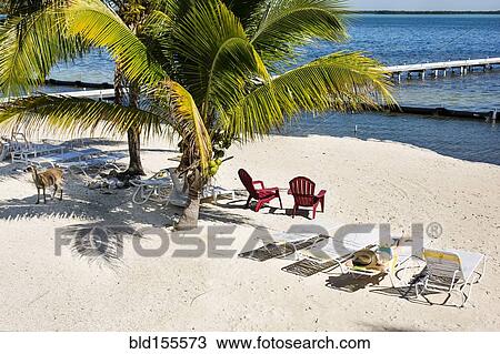 Stock Image - Deck chairs and palm trees on tropical beach. Fotosearch
