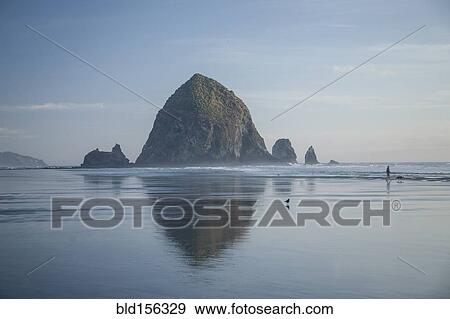 "Haystack Rock reflecting in ocean, Cannon Beach, Oregon, United States" View Large Photo Image Stock Photo - "Haystack Rock reflecting in ocean, Cannon Beach, Oregon, United States". Fotosearch