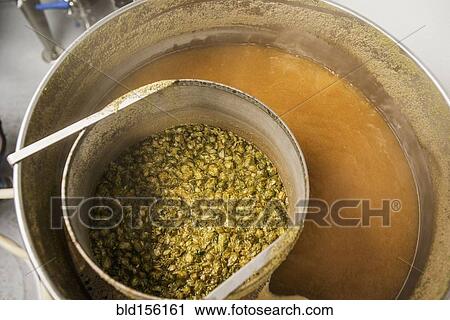 Stock Image - High angle view of hops brewing in vat of beer. Fotosearch