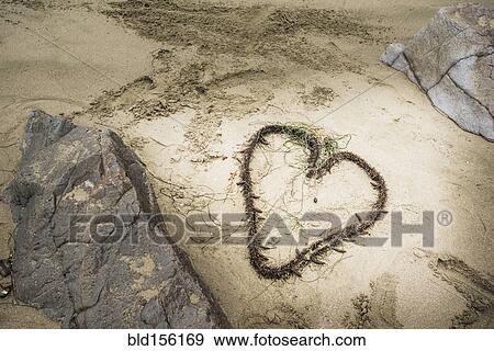 High angle view of knotted seaweed in heart shape on beach View Large Photo Image Stock Photo - High angle view of knotted seaweed in heart shape on beach. Fotosearch