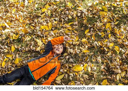 Picture - High angle view of mixed race boy laying in autumn leaves. Fotosearch