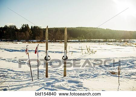 Skis and ski poles in snowy field View Large Photo Image Stock Image - Skis and ski poles in snowy field. Fotosearch