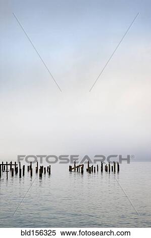 Stock Photography - Wooden poles in ocean under cloudy sky. Fotosearch